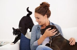 A Amizade Incondicional entre Humanos e seus Pets: Cães e Gatos como Companheiros Essenciais