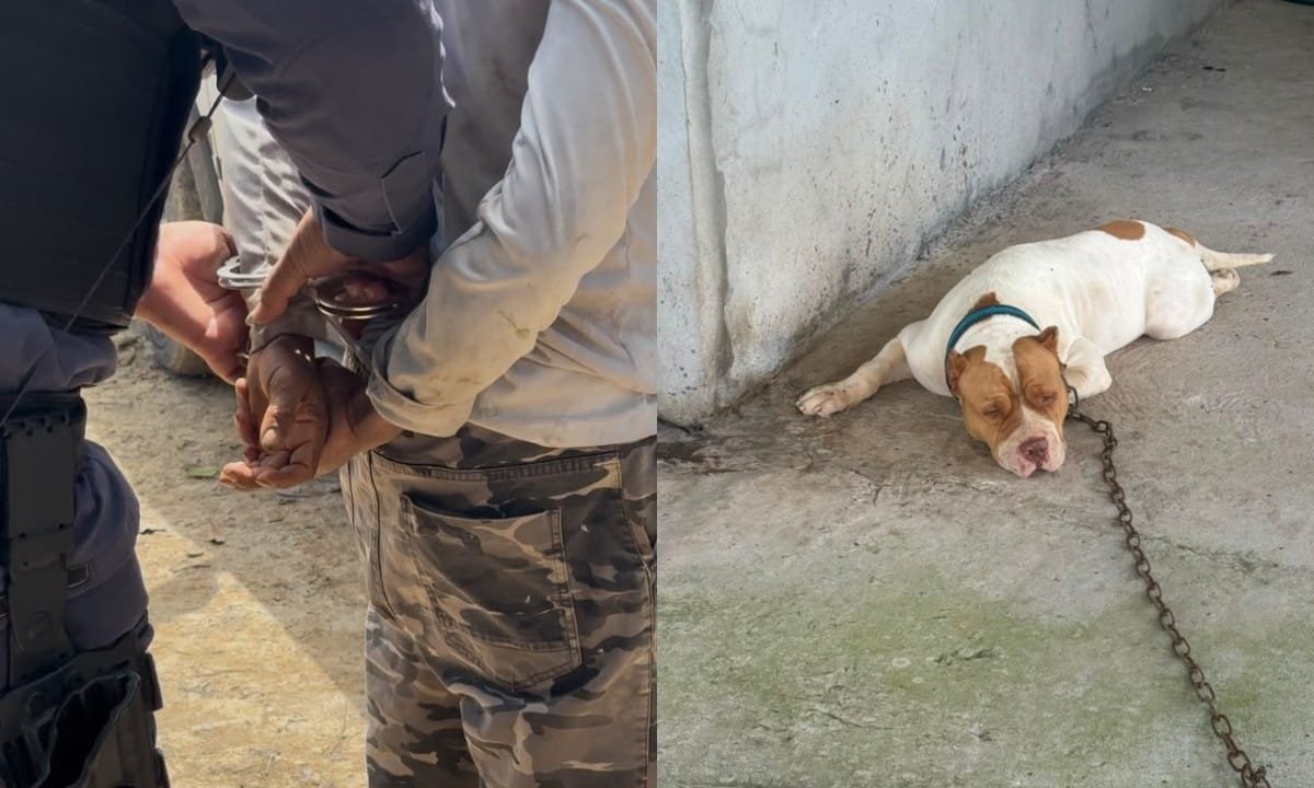 Homem Detido por Maus-Tratos a Animal em Presidente Figueiredo, Amazonas