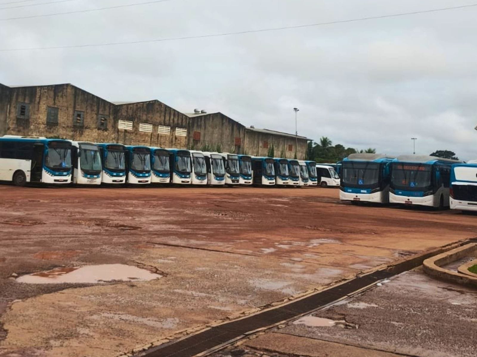 Ricco Transportes Prorroga Operação por 60 Dias Durante Transição em Rio Branco