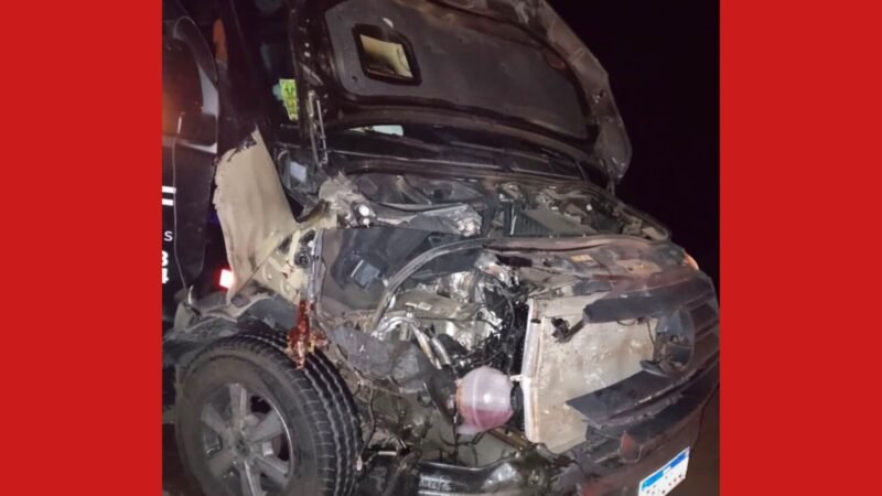 Acidente com Van de Quadrilha Junina no Mato Grosso: Integrantes passam por susto após Colisão com Animal