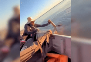 Heróis do Lago: O Resgate Inesperado de Banhistas em Palmas