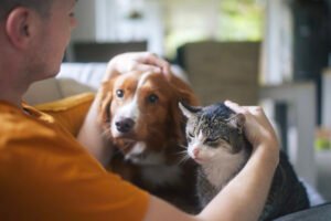 Pets como rede de apoio: o papel de cães e gatos na vida de quem vive sozinho