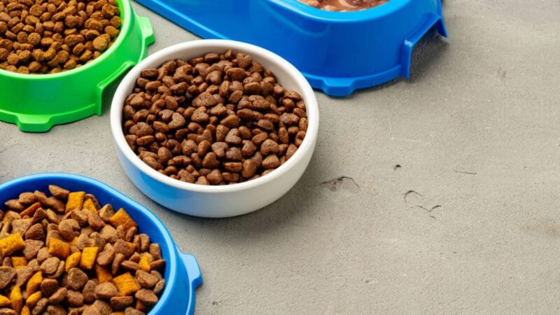 Microplásticos em Alimentos para Pets: Um Alerta Global