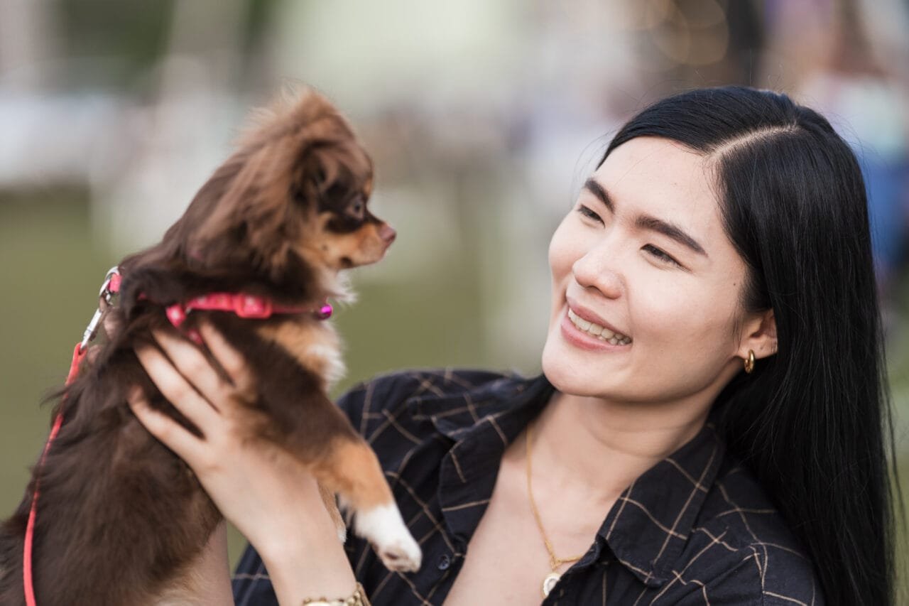 Crescimento da Cultura Pet na Coreia do Norte Revela Desigualdade Social