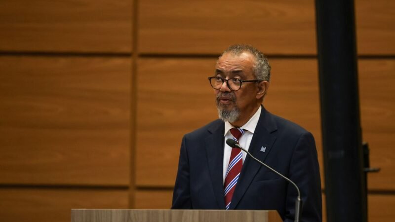 Risco de disseminação global do ebola é baixo, afirma diretor-geral da OMS