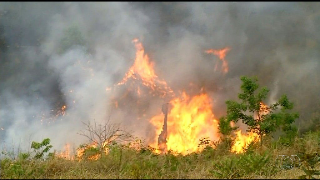 Tocantins proíbe queimas controladas para conter risco crítico de incêndios