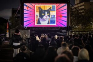 GoldeN GatoFest: Celebração do Dia Internacional do Gato no CCSP