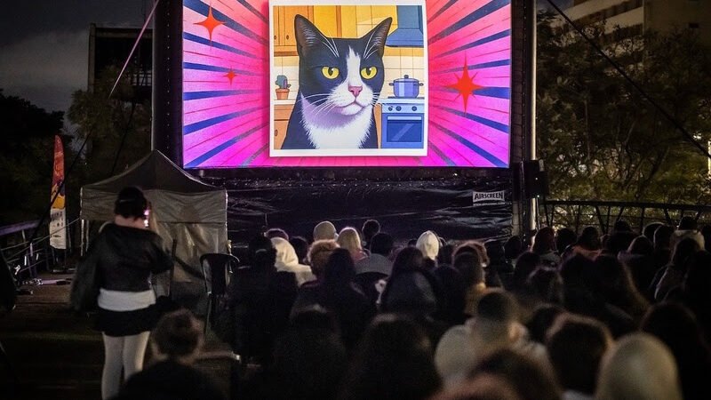 GoldeN GatoFest: Celebração do Dia Internacional do Gato no CCSP