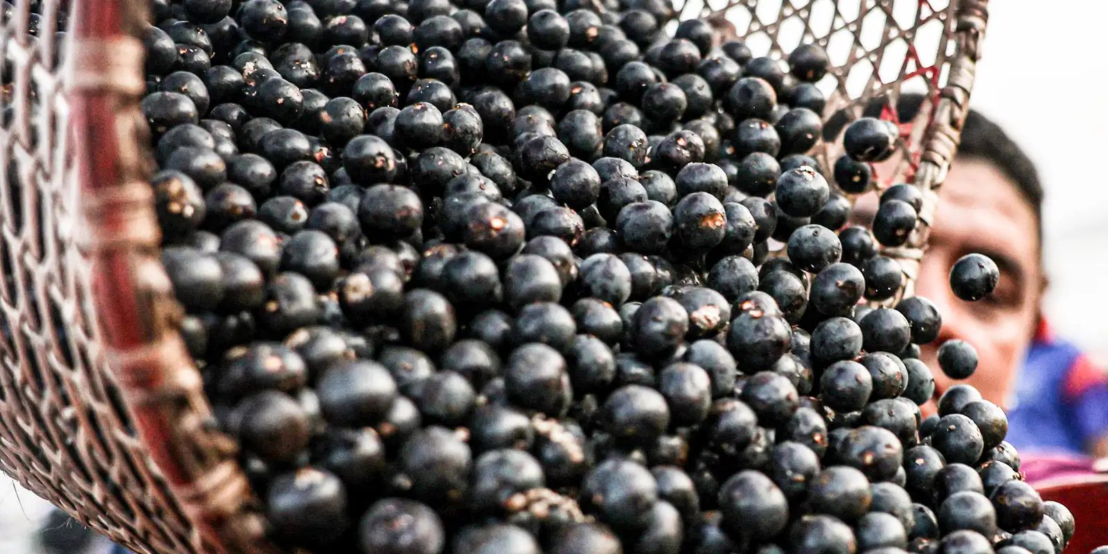 China Facilita Exportação de Polpas e Frutas Congeladas do Brasil