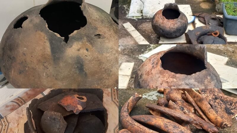 Descoberta Arqueológica Surpreende Curuá com Artefatos Históricos