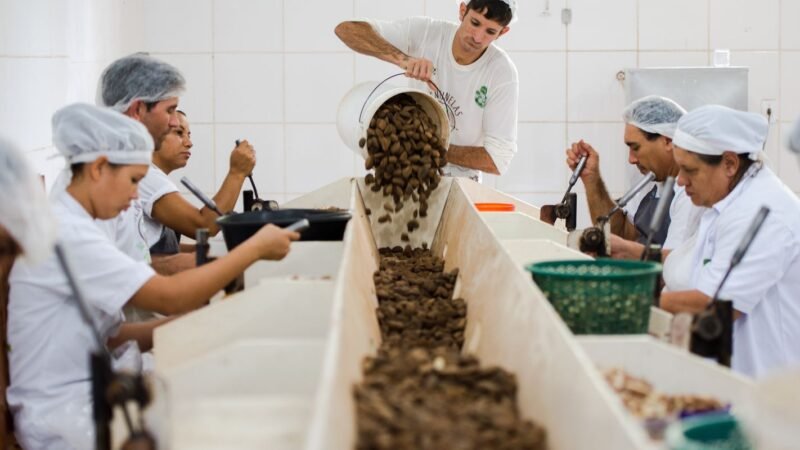 Consulta Pública sobre Bens Sustentáveis do Mercosul-UE Termina em Breve