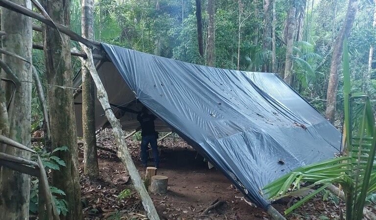 Operação da PF Combate Desmatamento na Terra Indígena Cachoeira Seca, no Pará