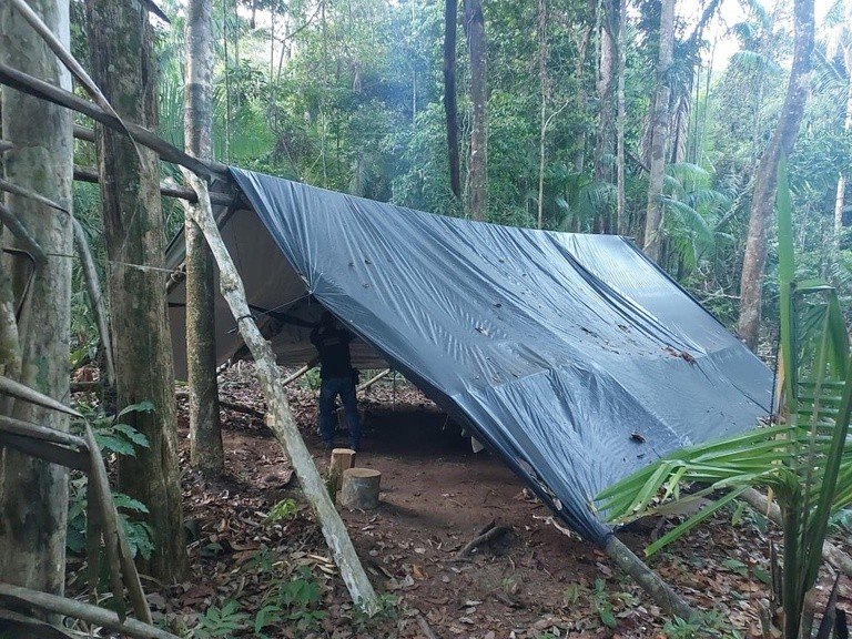 Operação da PF Combate Desmatamento na Terra Indígena Cachoeira Seca, no Pará