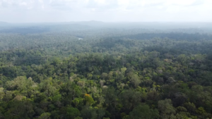 Desaparecimento de Quatro Pessoas em Região de Difícil Acesso no Amapá