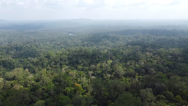 Desaparecimento de Quatro Pessoas em Região de Difícil Acesso no Amapá