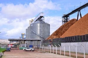 Porto de Santana se consolida como rota vital para a exportação de soja