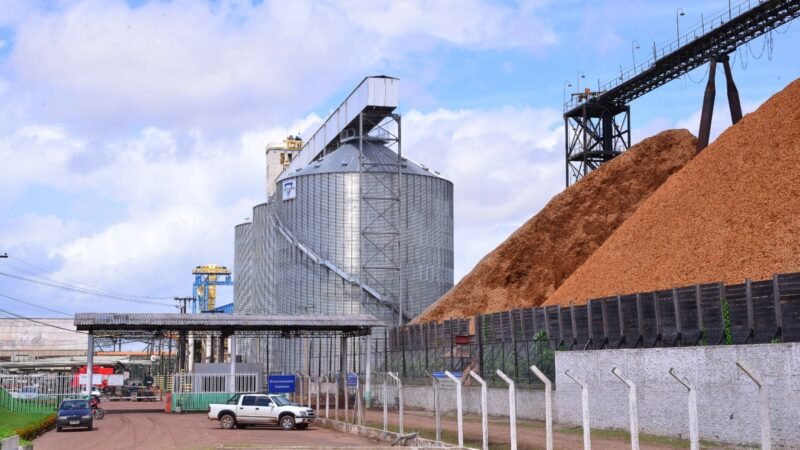 Porto de Santana se consolida como rota vital para a exportação de soja