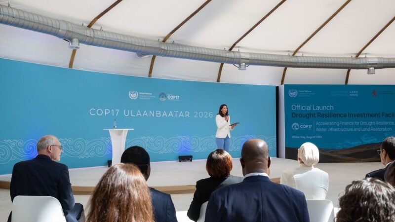COP17: Frustração e Desafios na Luta Contra Secas