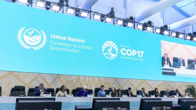 COP17: Desafios e Avanços na Luta Contra a Desertificação