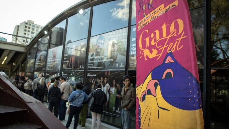 GoldeN GatoFest: Uma Celebração do Dia Internacional do Gato em Grande Estilo