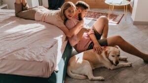Clube Petlove Lança Programa de Benefícios para Pets com Descontos em Estabelecimentos Pet Friendly