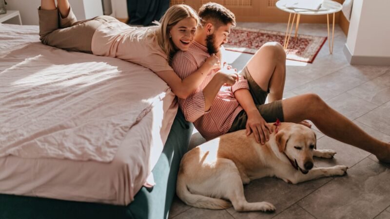 Clube Petlove Lança Programa de Benefícios para Pets com Descontos em Estabelecimentos Pet Friendly