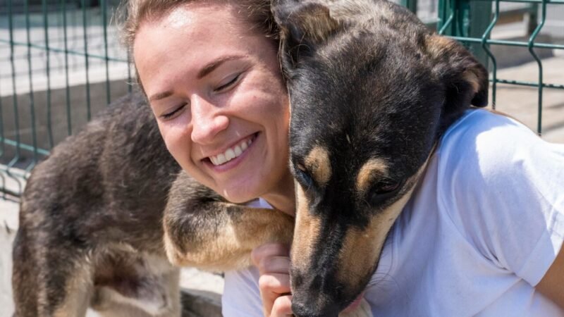 Desafios da Proteção Animal: Uma Análise do Dia do Protetor de Animais