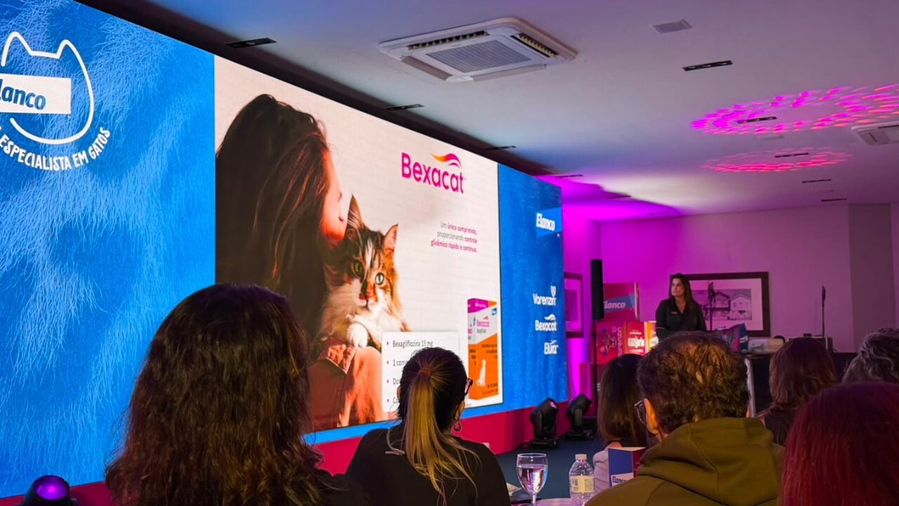 Elanco Introduz Novo Tratamento Oral para Diabetes em Gatos no Brasil