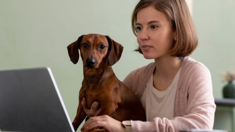 Desafios Éticos e Emocionais na Comunicação do Setor Veterinário