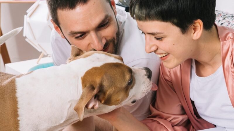 A Nova Dinâmica Familiar: O Crescimento da Adoção de Pets nos Lares Americanos