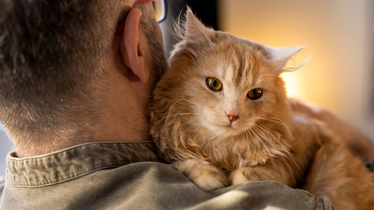 O Impacto Positivo da Adoção de Animais de Estimação na Vida dos Responsáveis
