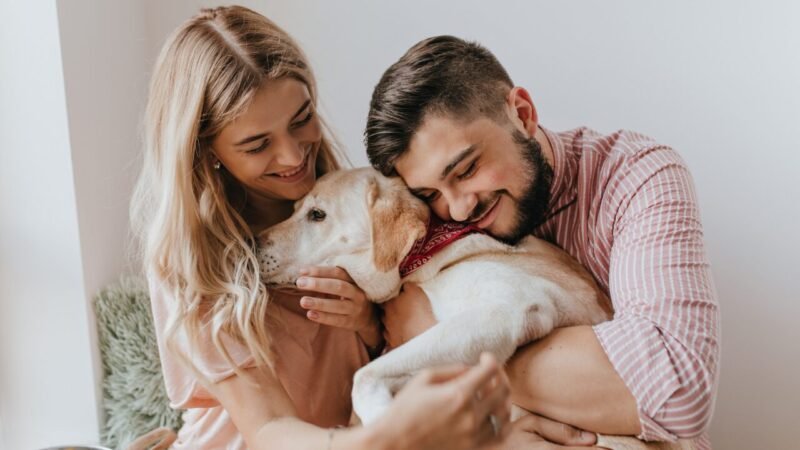 Transformações na Relação entre Humanos e Animais: O Impacto na Medicina Veterinária e no Mercado PetVet