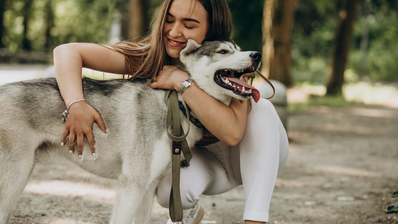 Cães como Verdadeiras Almas Gêmeas: Um Vínculo Emocional Superior