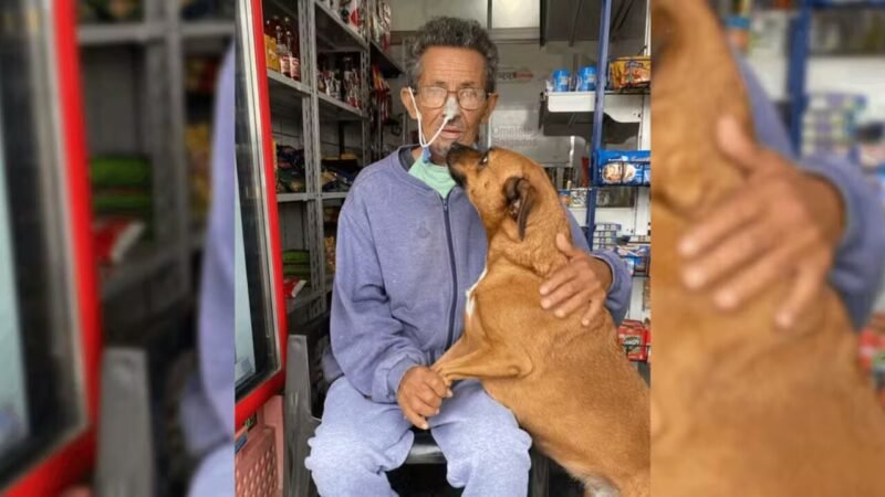 Reencontro Emocionante: Joice Surpreende Seu Dono Internado em SP