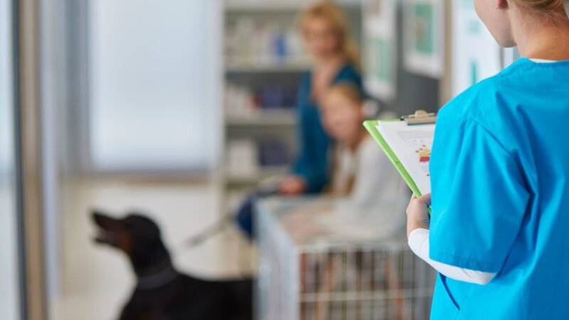 A Importância da Proteção Jurídica na Medicina Veterinária