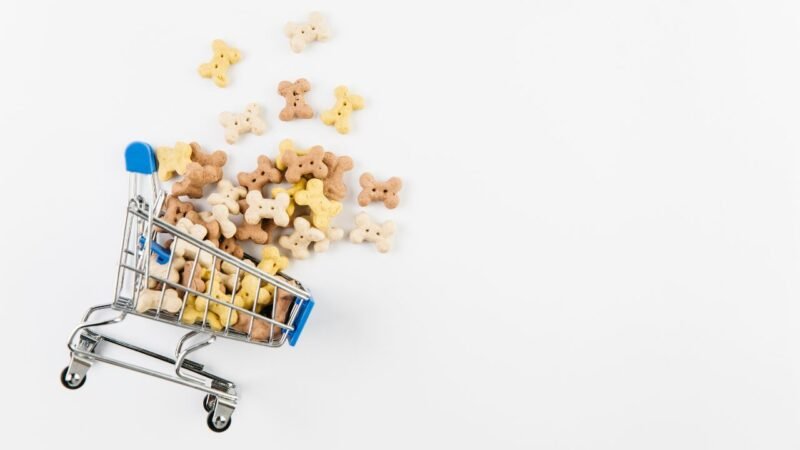 Crescimento do Varejo Pet via Delivery: Uma Revolução Conveniente
