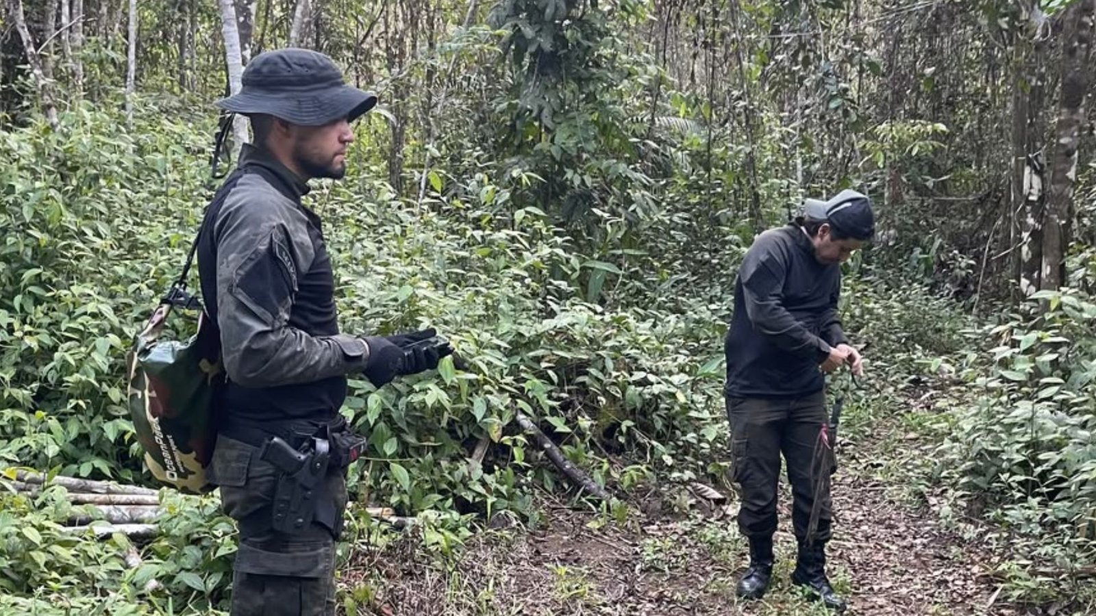 Operação Policial no Amapá: Prisões e Apreensões no Combate ao Desmatamento Ilegal