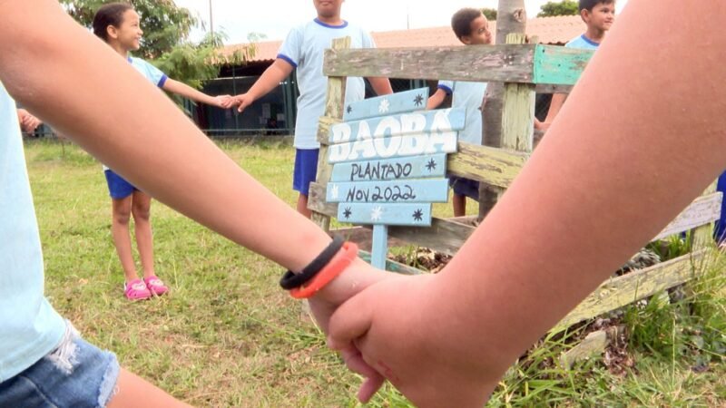 A Construção da Identidade Parda no Brasil: Desafios e Conquistas