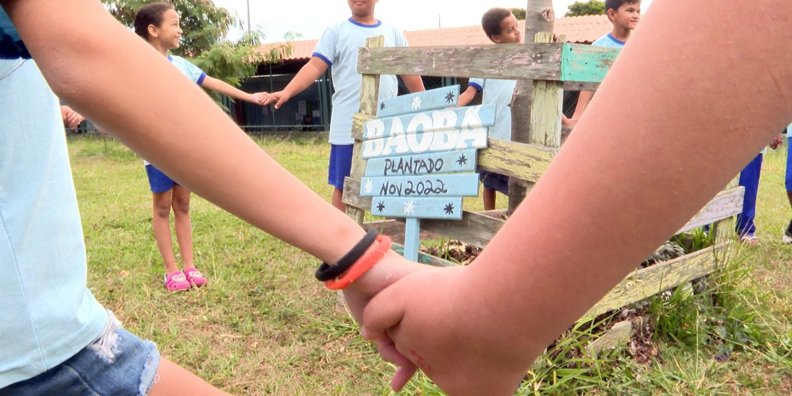 A Construção da Identidade Parda no Brasil: Desafios e Conquistas