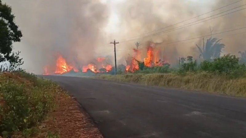 Incêndio em Caapiranga gera preocupação entre moradores e destrói vegetação