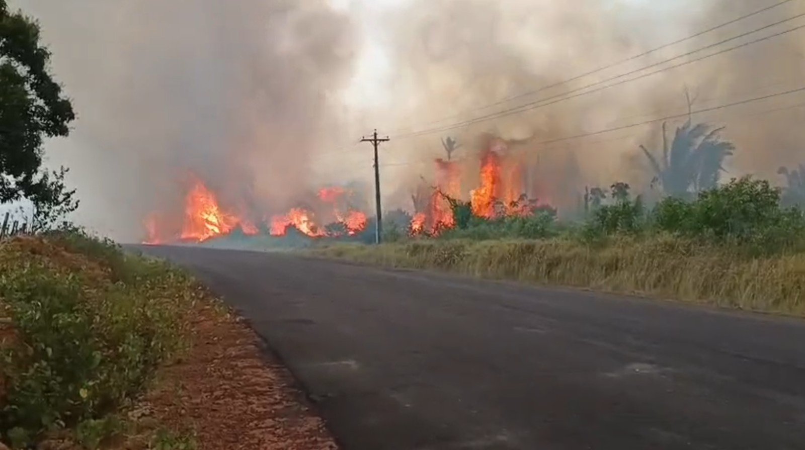 Incêndio em Caapiranga gera preocupação entre moradores e destrói vegetação