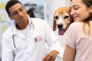 A Influência das Decisões na Saúde e Envelhecimento dos Animais de Estimação