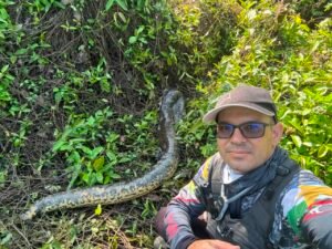Pescador Descobre Sucuri Morta em Roraima e Registra Rastejamento de Onça