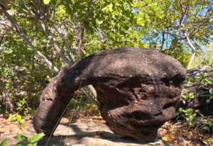Explorando a Trilha da Pedra do Sol em Miracema do Tocantins: Natureza e Humor