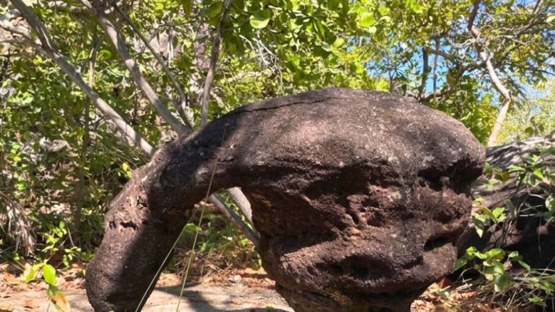 Explorando a Trilha da Pedra do Sol em Miracema do Tocantins: Natureza e Humor