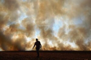 COP17: Desafios da Desertificação e Degradação do Solo em Debate na Mongólia