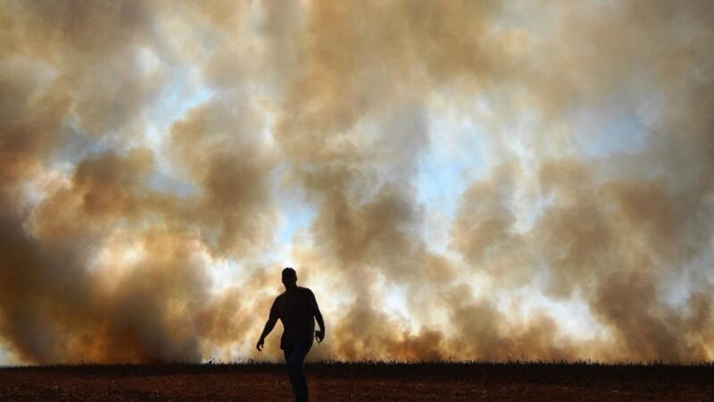 COP17: Desafios da Desertificação e Degradação do Solo em Debate na Mongólia