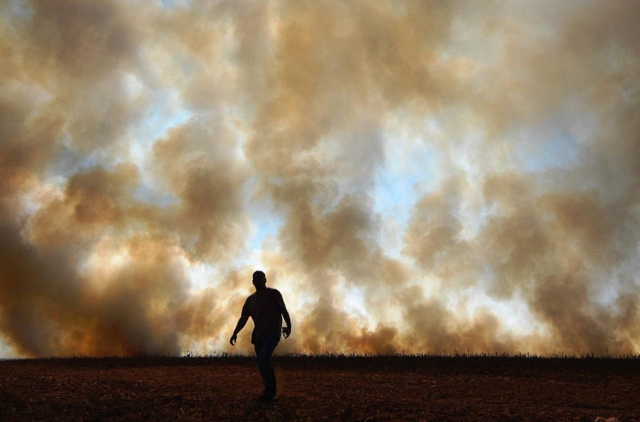 COP17: Desafios da Desertificação e Degradação do Solo em Debate na Mongólia