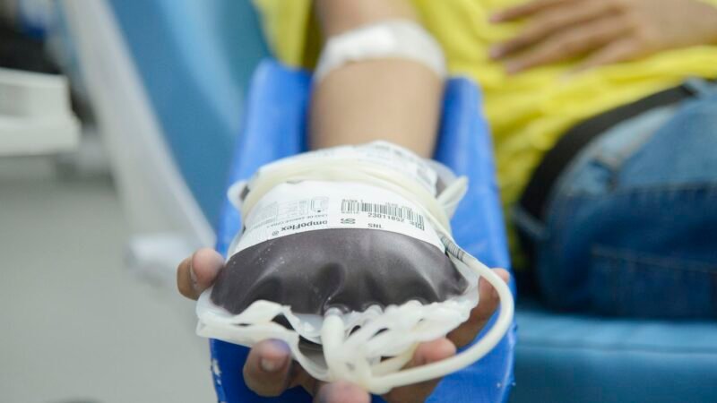 Novas Regras para Doação de Sangue no Brasil: Redução de Prazos e Inclusão de Idosos