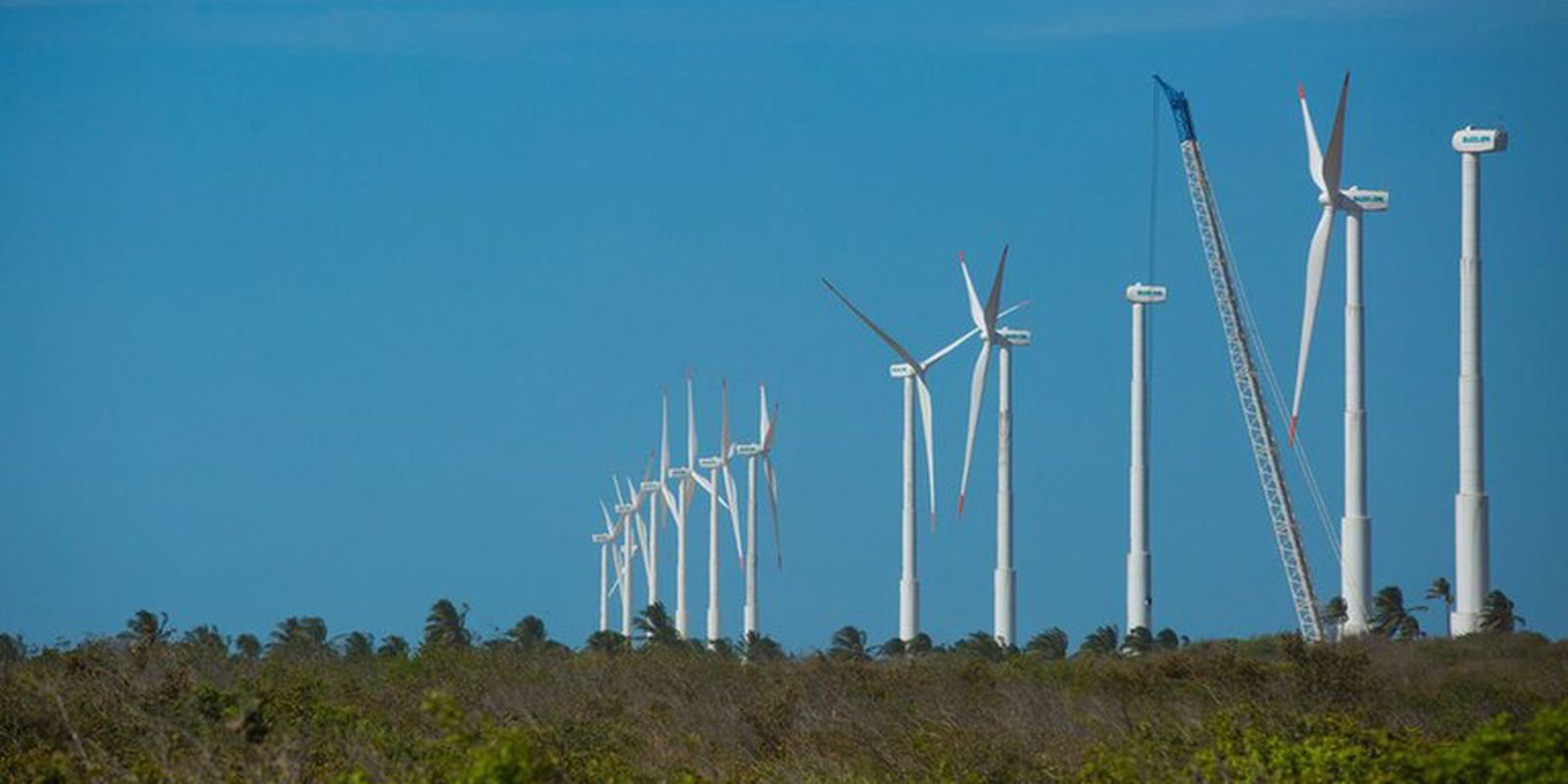 Mapeamento de Oportunidades para Economia Verde no Nordeste